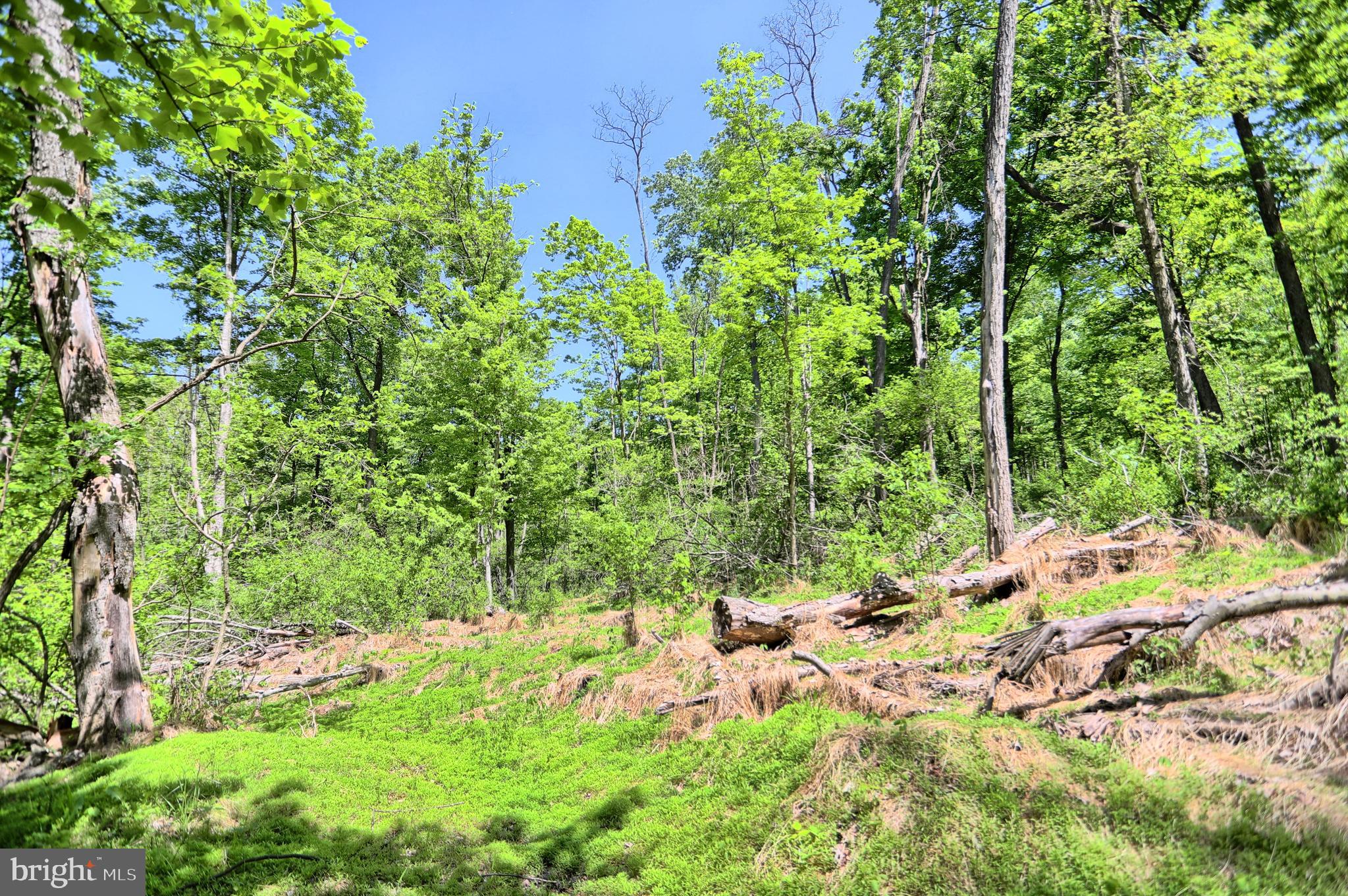 0 Raccoon Valley Road Millerstown, PA 17062 - Photo 24 of 50 Gallery Image 24