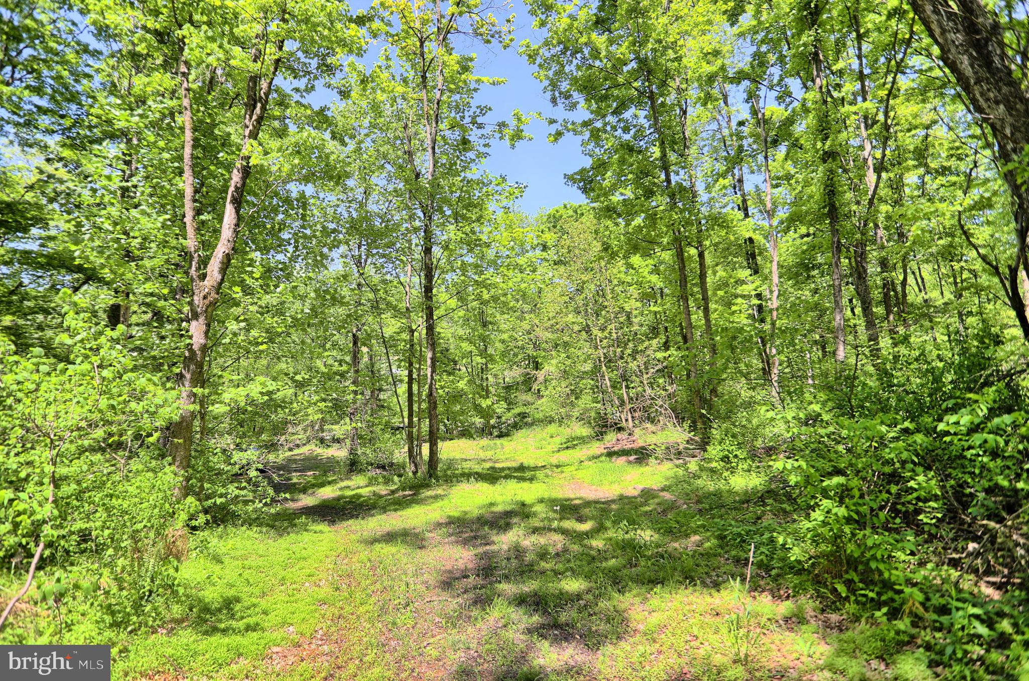 0 Raccoon Valley Road Millerstown, PA 17062 - Photo 25 of 50 Gallery Image 25