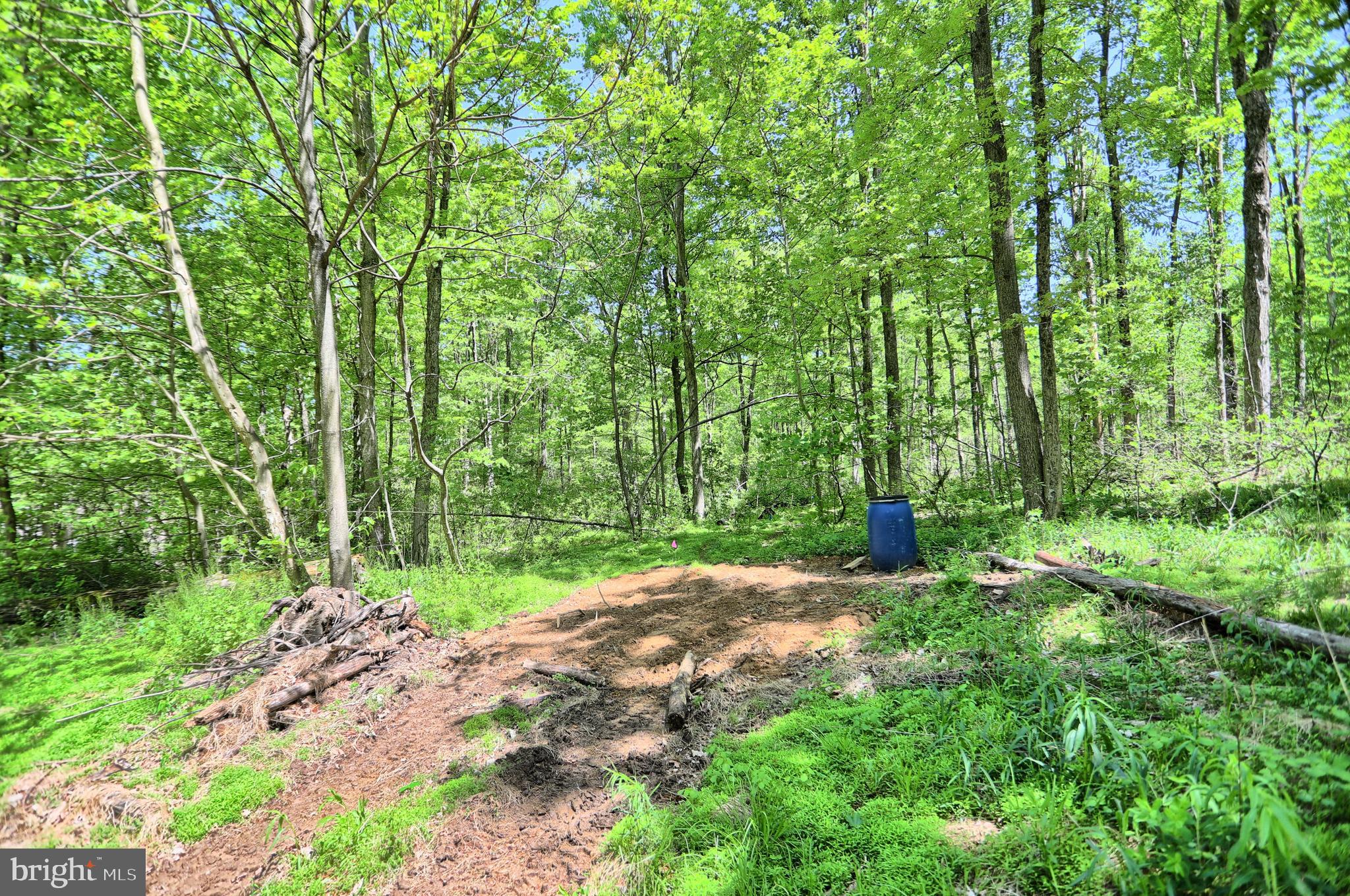 0 Raccoon Valley Road Millerstown, PA 17062 - Photo 26 of 50 Gallery Image 26