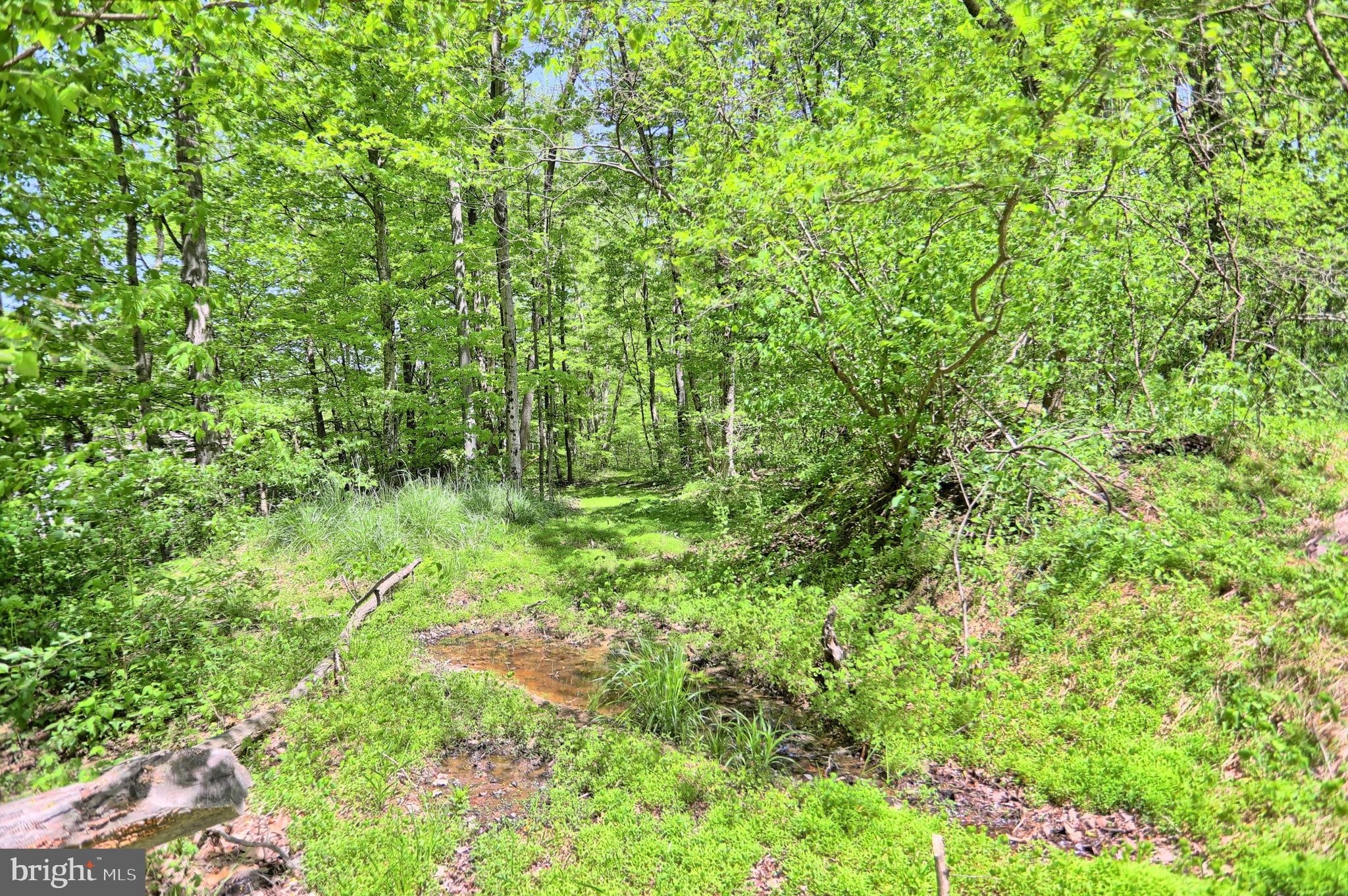 0 Raccoon Valley Road Millerstown, PA 17062 - Photo 27 of 50 Gallery Image 27