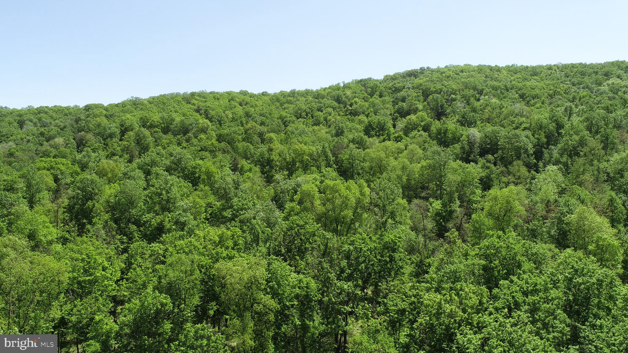 0 Raccoon Valley Road Millerstown, PA 17062 - Photo 29 of 50 Gallery Image 29