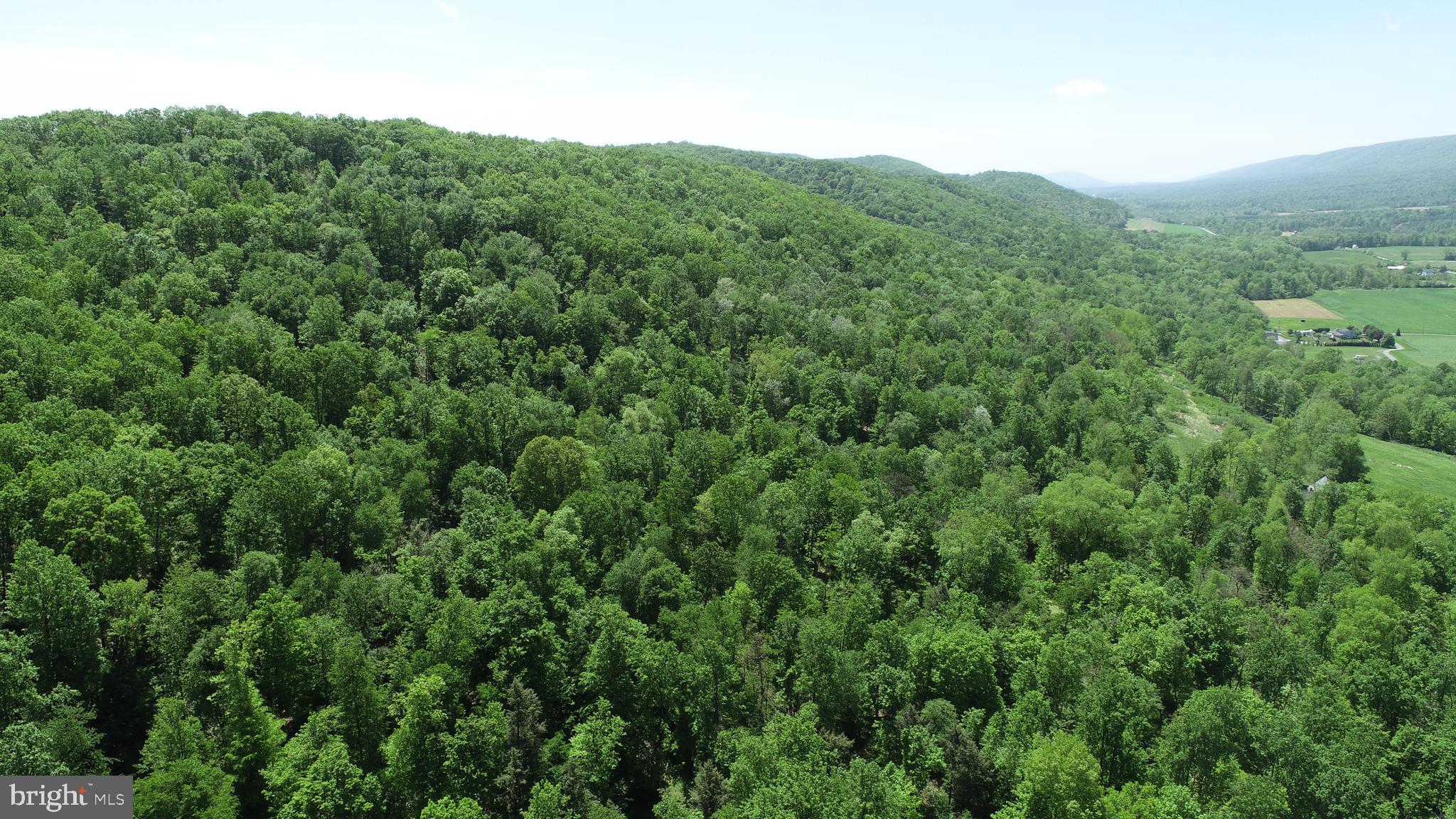 0 Raccoon Valley Road Millerstown, PA 17062 - Photo 40 of 50 Gallery Image 40
