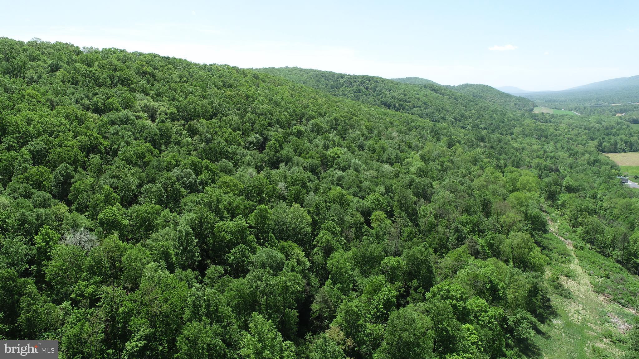 0 Raccoon Valley Road Millerstown, PA 17062 - Photo 42 of 50 Gallery Image 42
