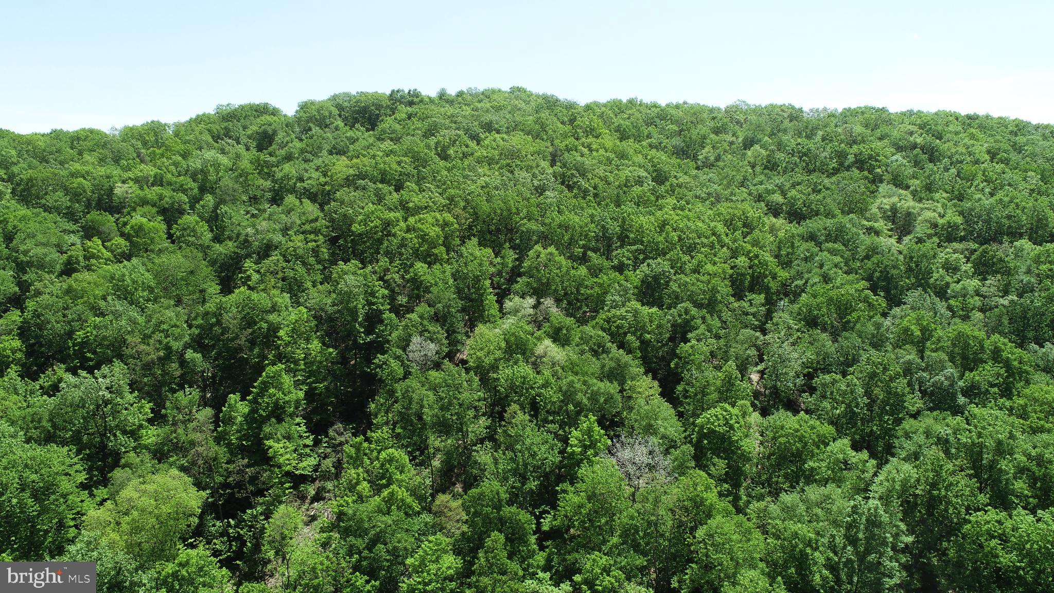 0 Raccoon Valley Road Millerstown, PA 17062 - Photo 43 of 50 Gallery Image 43