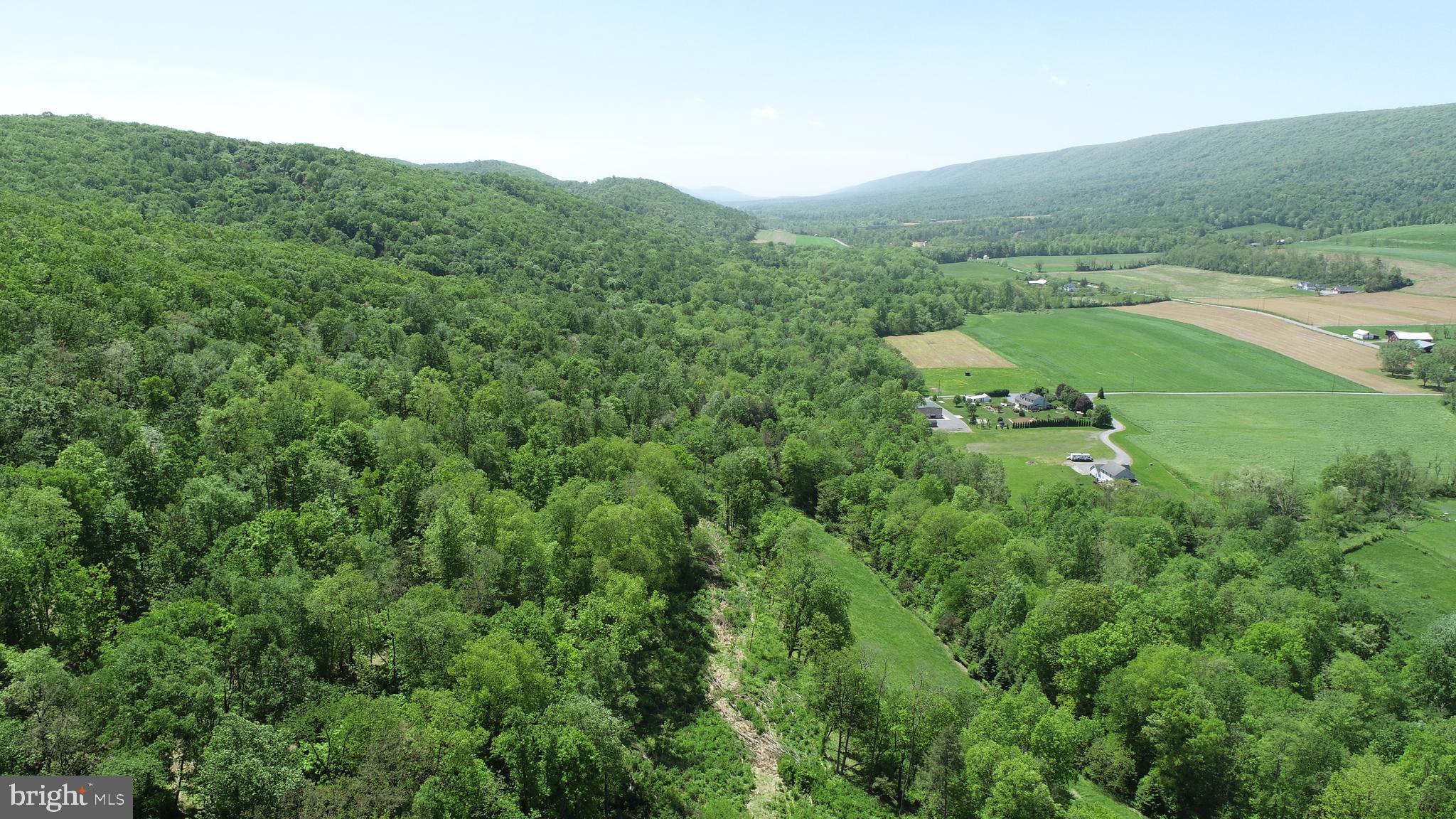 0 Raccoon Valley Road Millerstown, PA 17062 - Photo 45 of 50 Gallery Image 45