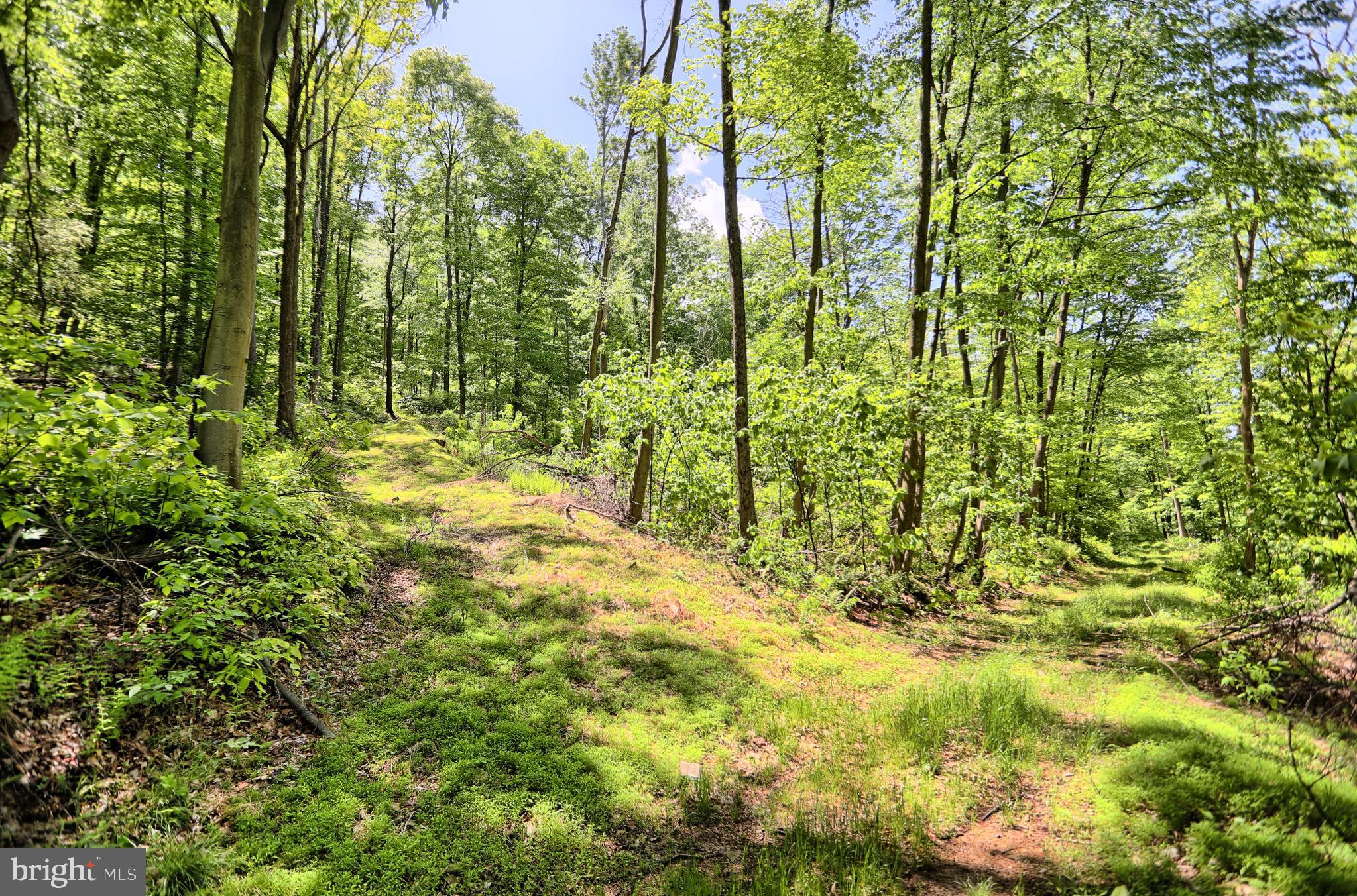 0 Raccoon Valley Road Millerstown, PA 17062 - Photo 8 of 50 Gallery Image 8