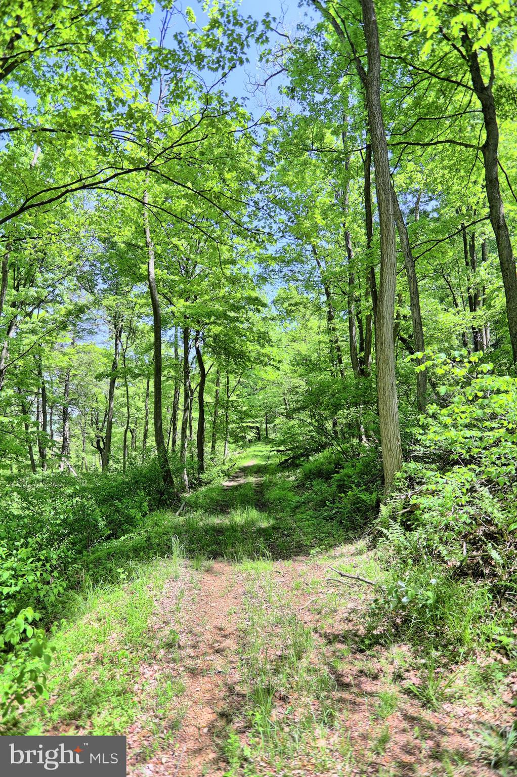 0 Raccoon Valley Road Millerstown, PA 17062 - Photo 9 of 50 Gallery Image 9