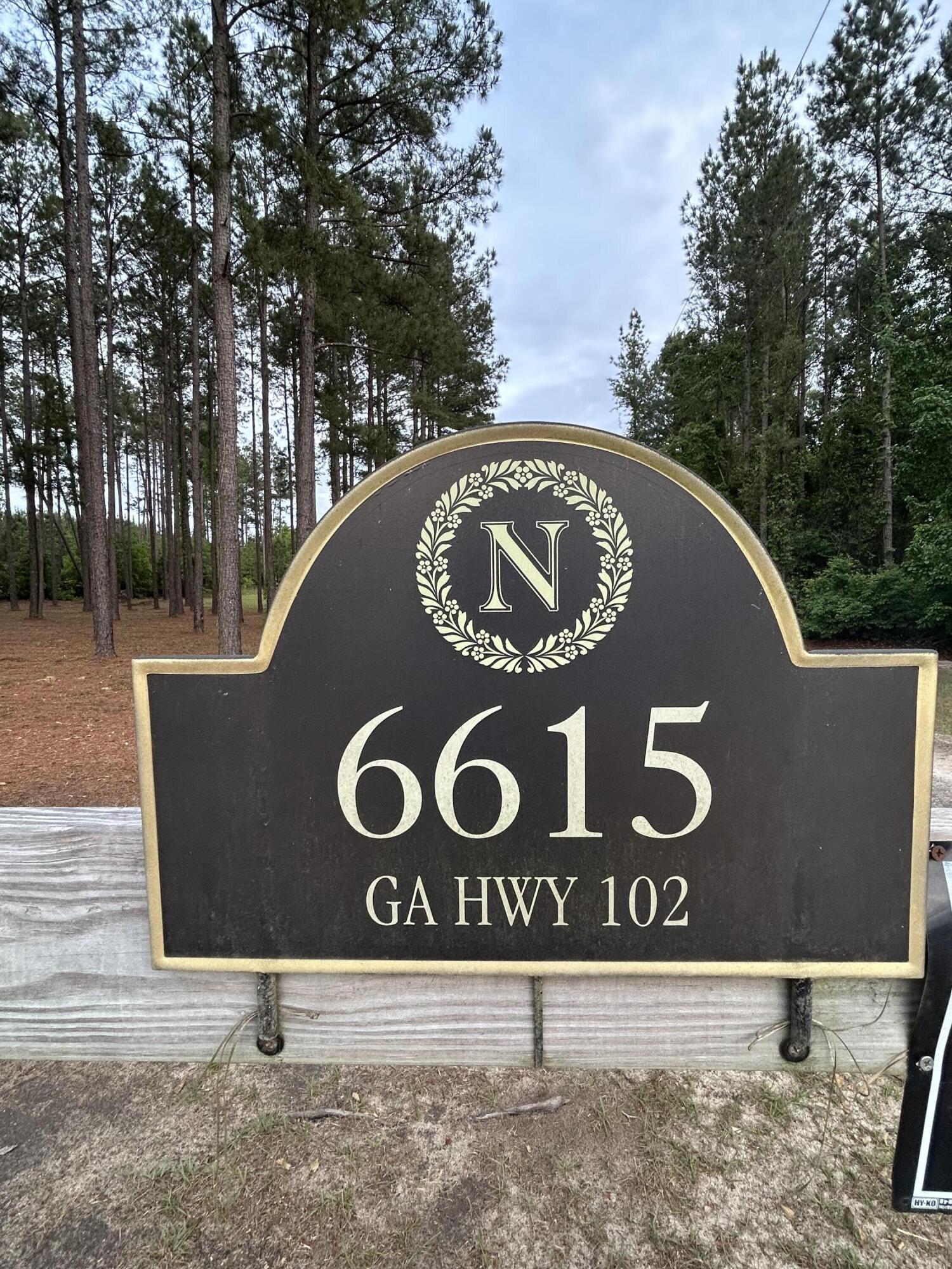 6615 Highway 102 Stapleton, GA 30823 - Photo 2 of 44 IMG_4763