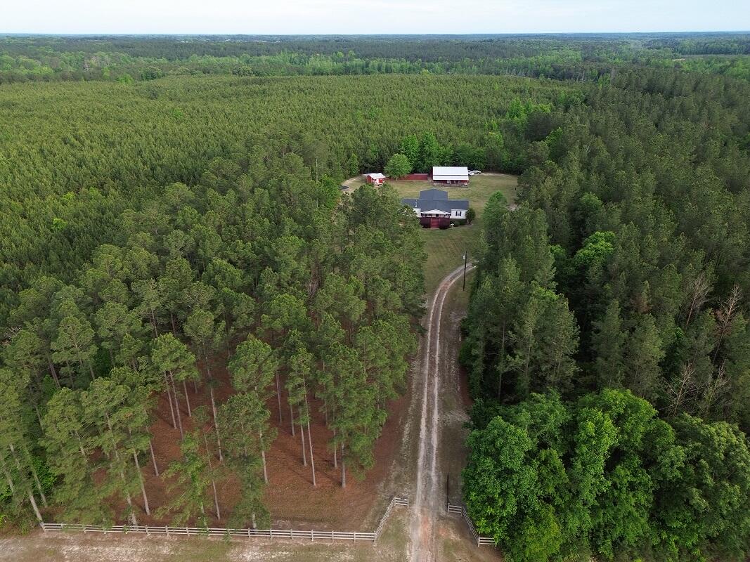 6615 Highway 102 Stapleton, GA 30823 - Photo 3 of 44 ACPR7701