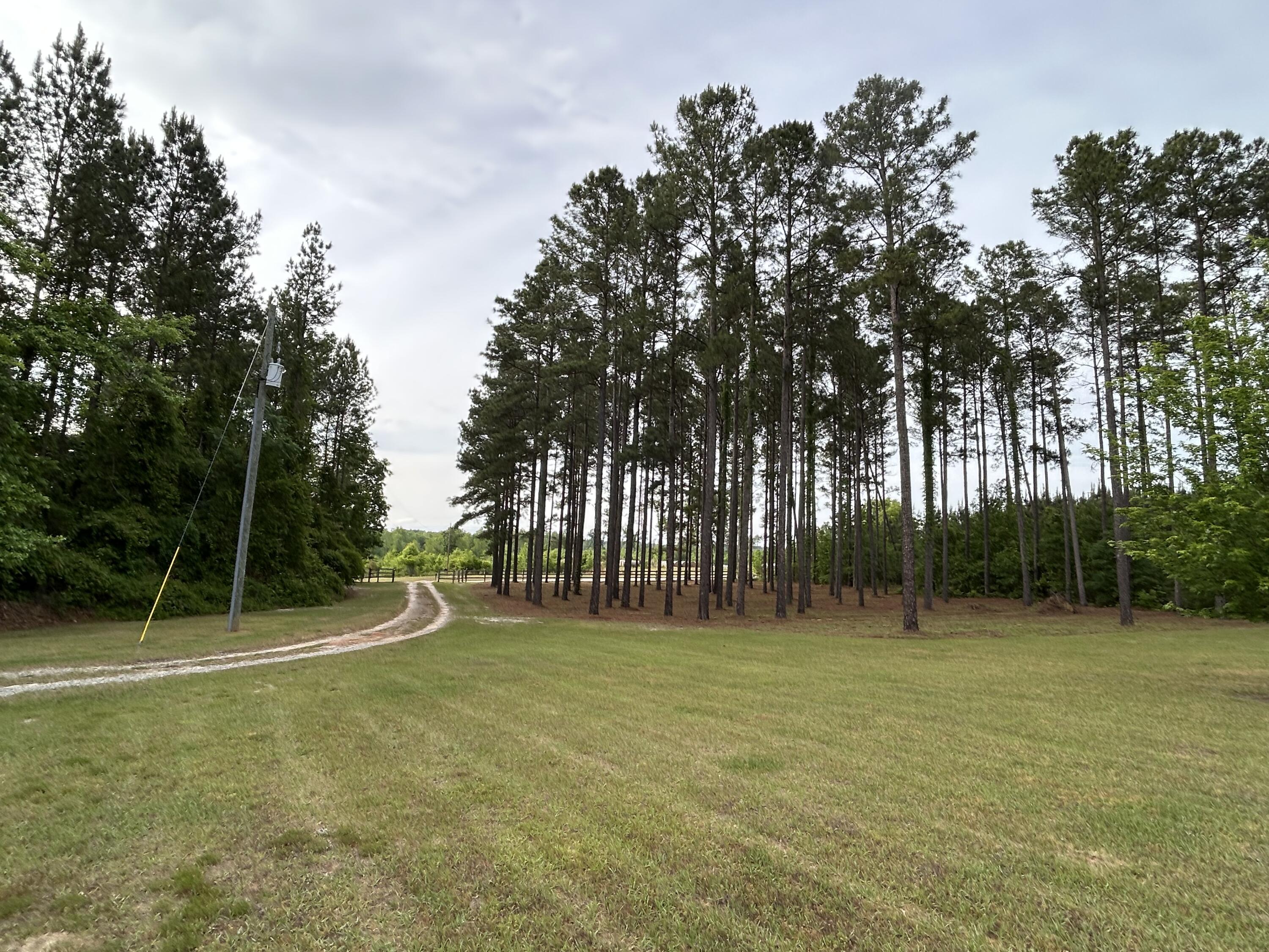 6615 Highway 102 Stapleton, GA 30823 - Photo 8 of 44 IMG_4719