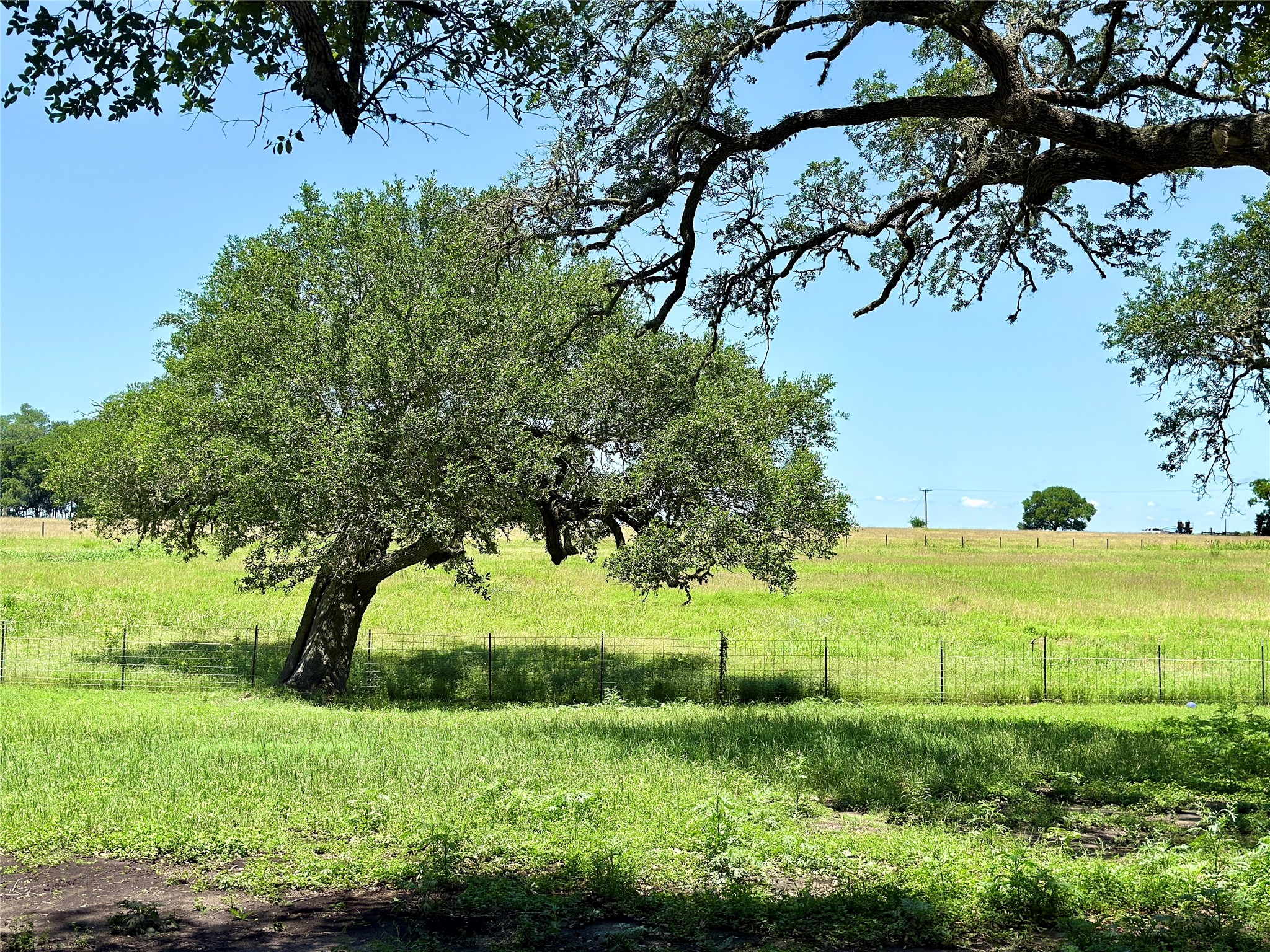 5030 Frenzel Road Round Top, TX 78954 - Photo 6 of 13