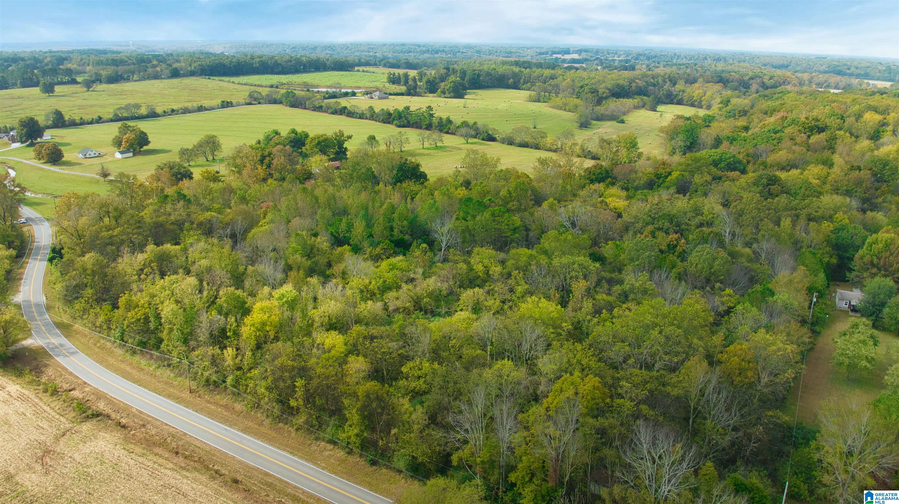 0 South Love Branch Road Toney, AL 35773 - Photo 24 of 26