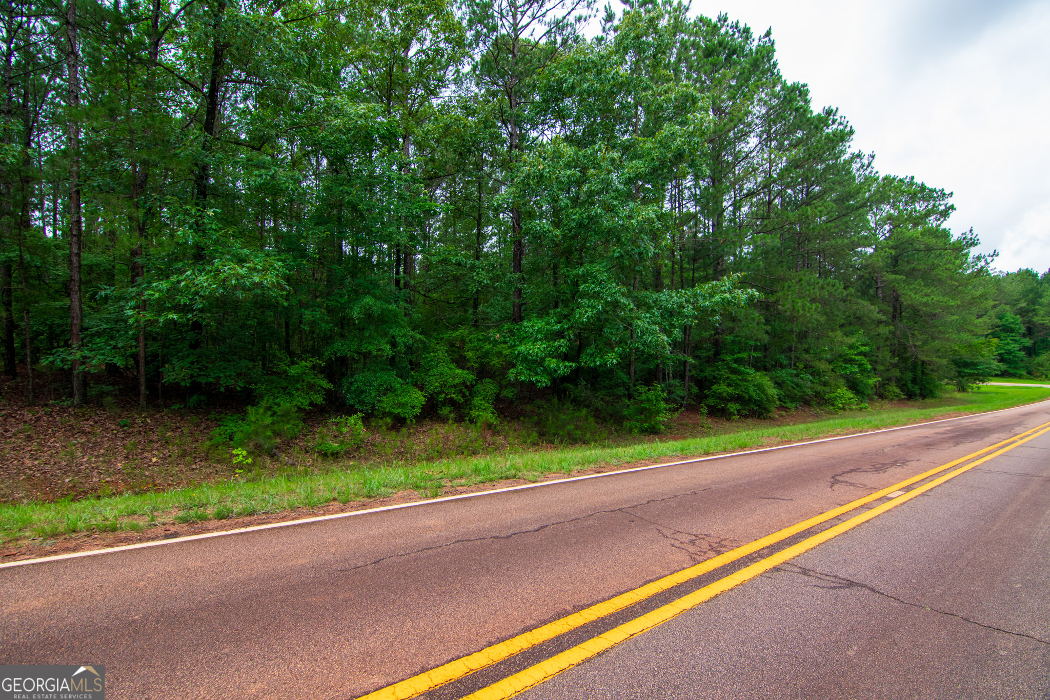 0 White Road Pine Mountain, GA 31822 - Photo 2 of 9