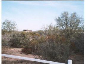 8163 North Red Oak Road, Unit 1 Prescott, AZ 86305 - Photo 5 of 12 Additional Photo