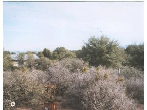 8163 North Red Oak Road, Unit 1 Prescott, AZ 86305 - Photo 7 of 12 Additional Photo