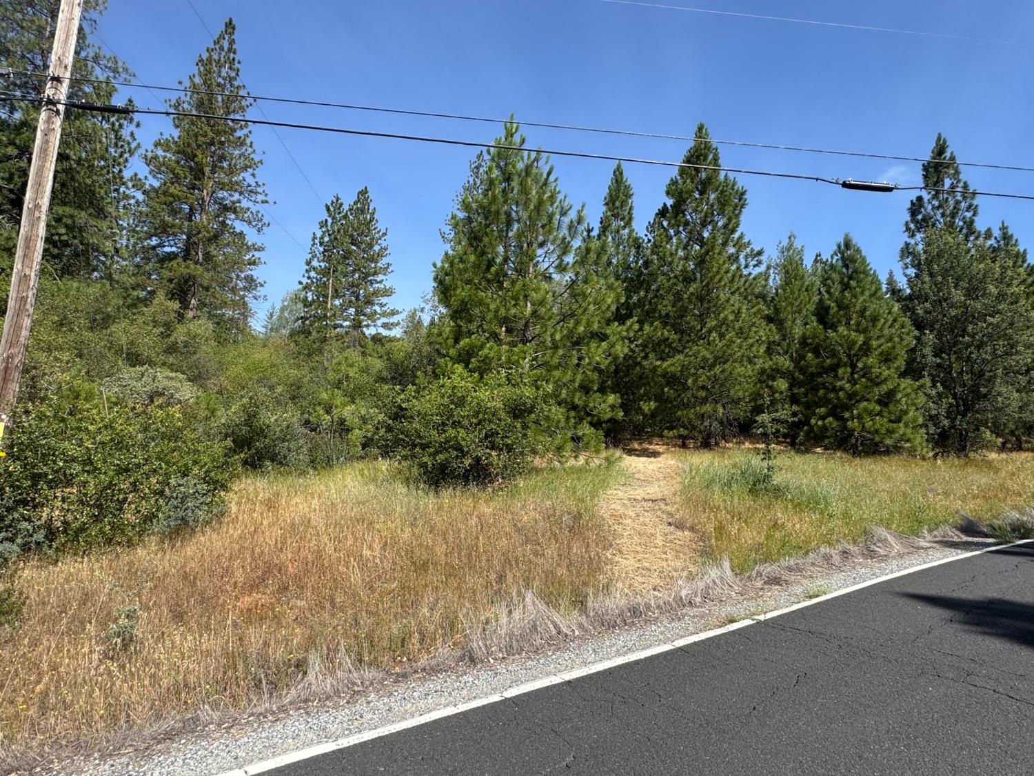 0 French Gulch Road Murphys, CA 95247 - Photo 10 of 19