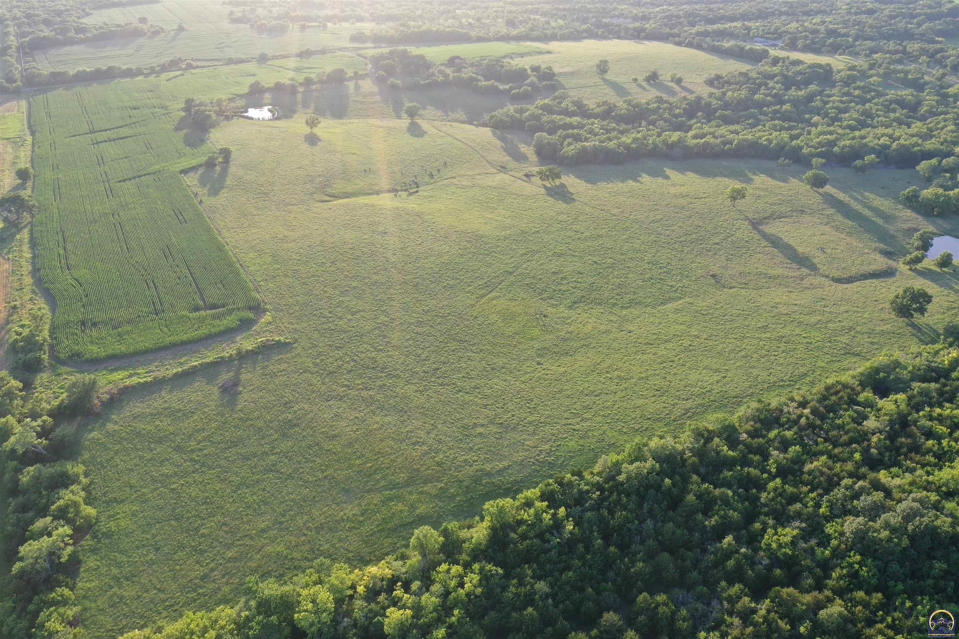 0 South Shawnee Heights Road Quenemo, KS 66528 - Photo 14 of 47 Gallery Image 14