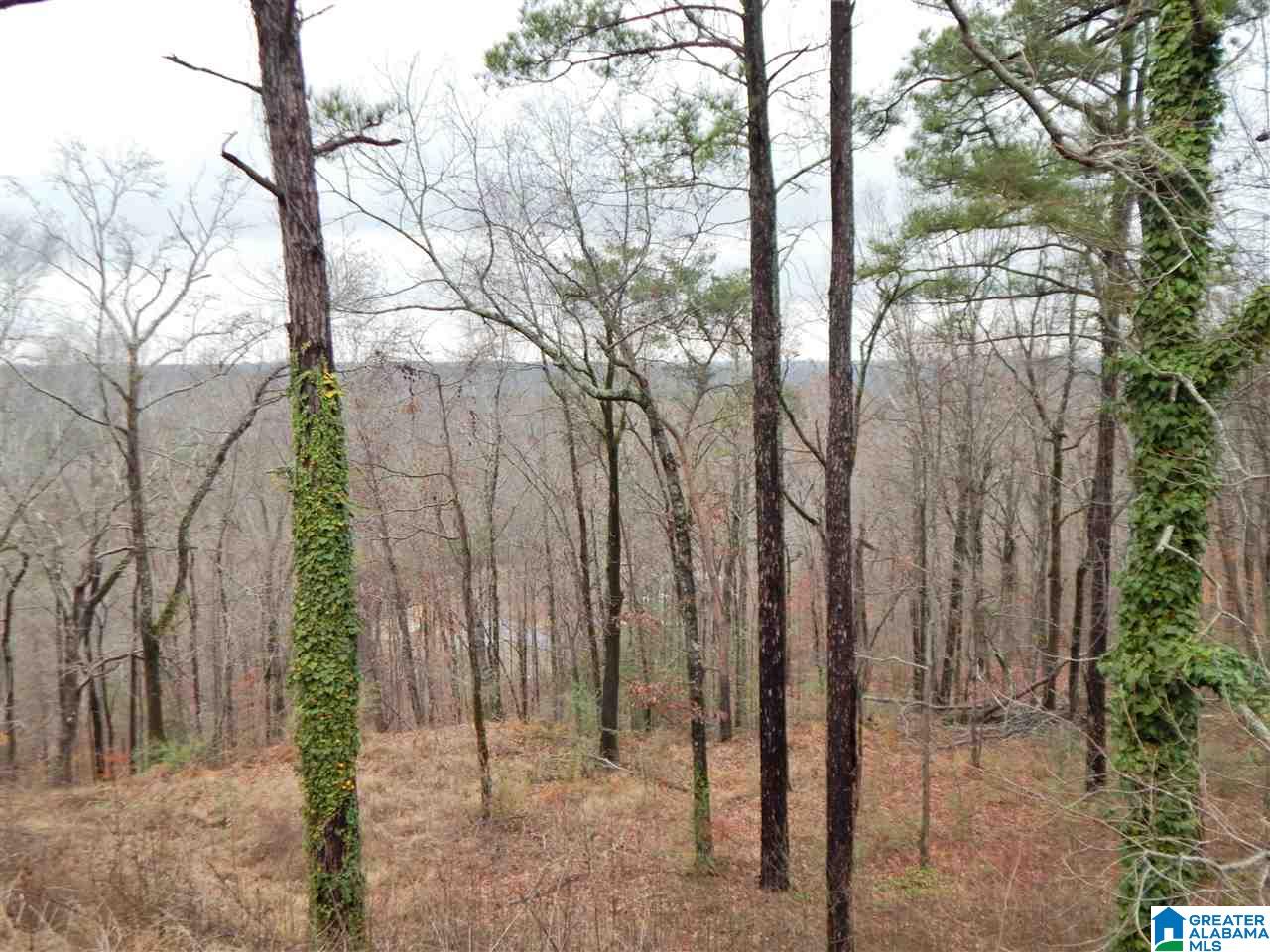 4012 Pawnee Rosa Drive Birmingham, AL 35217 - Photo 31 of 31