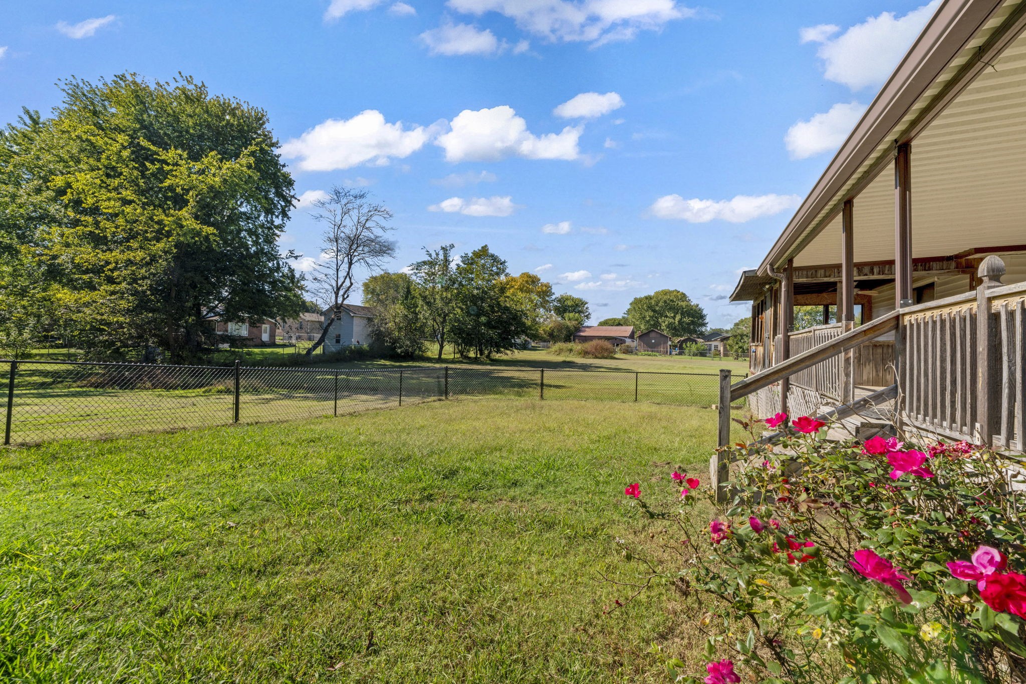 499 Ridgewood Drive Manchester, TN 37355 - Photo 33 of 37 a view of a garden with flowers