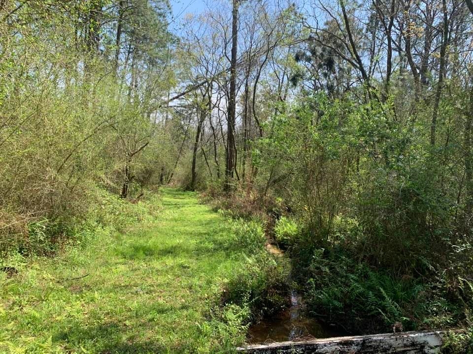 26264 Feely Road Elberta, AL 36530 - Photo 18 of 30