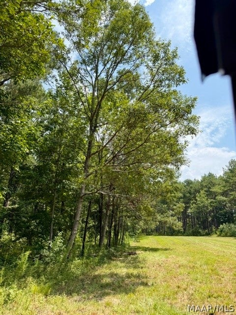 0 County Road 2 Road Hardaway, AL 36039 - Photo 22 of 24 Gallery Image 22