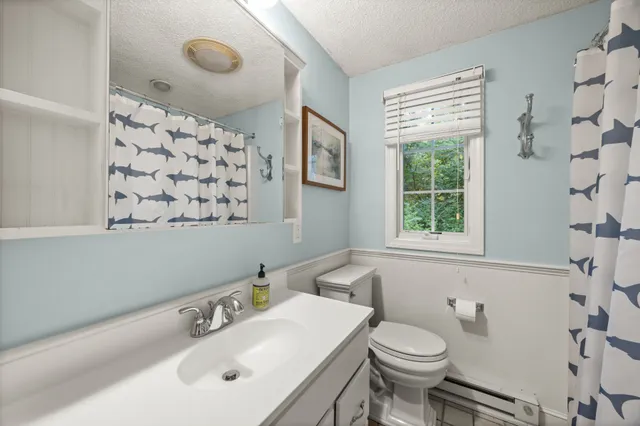 a bathroom with a sink a toilet and a mirror