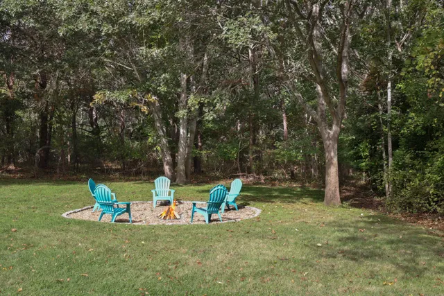 a view of a park with large trees