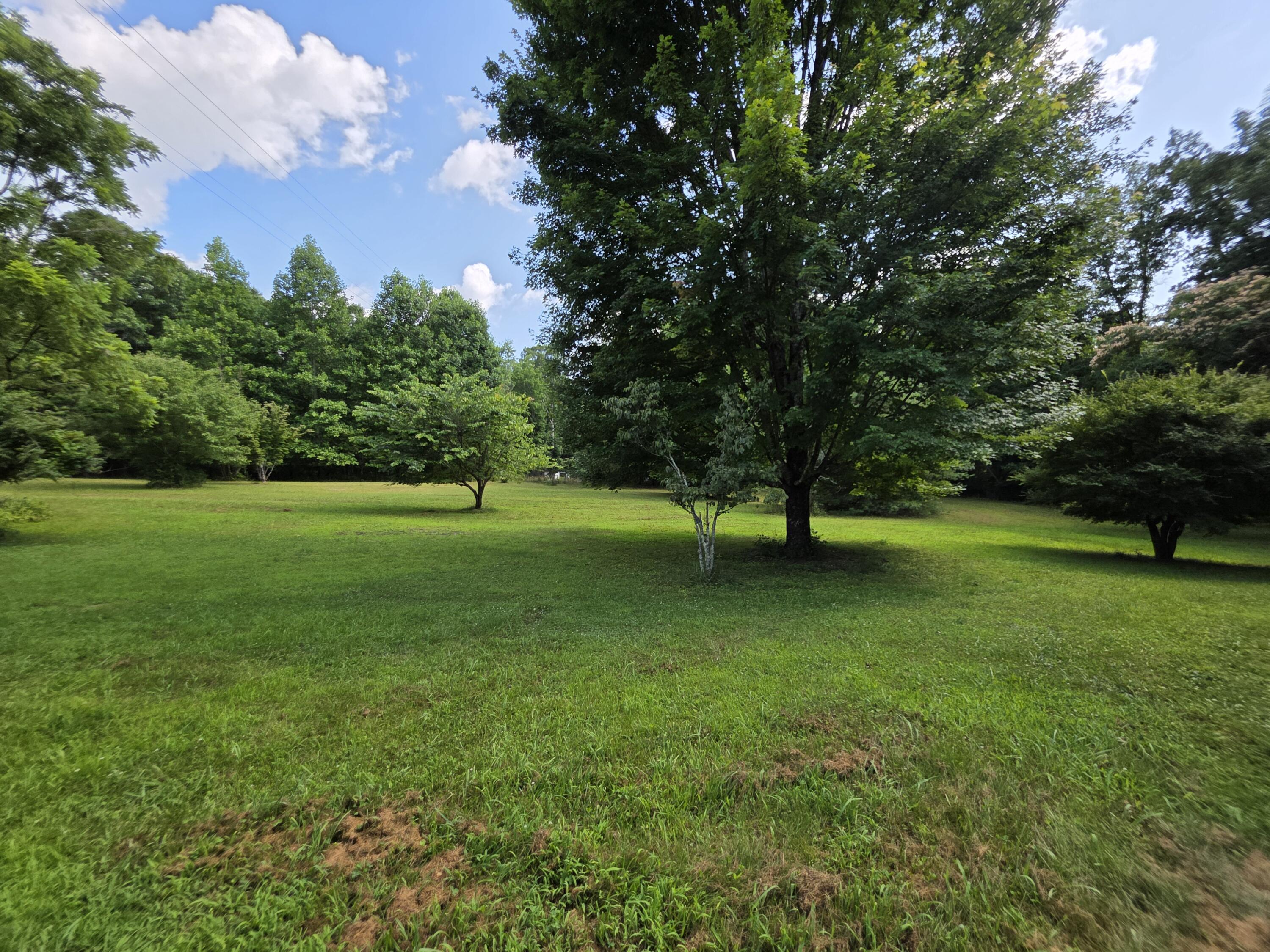 19314 South Pittsburg Mountain Road Sewanee, TN 37375 - Photo 5 of 19 Land2
