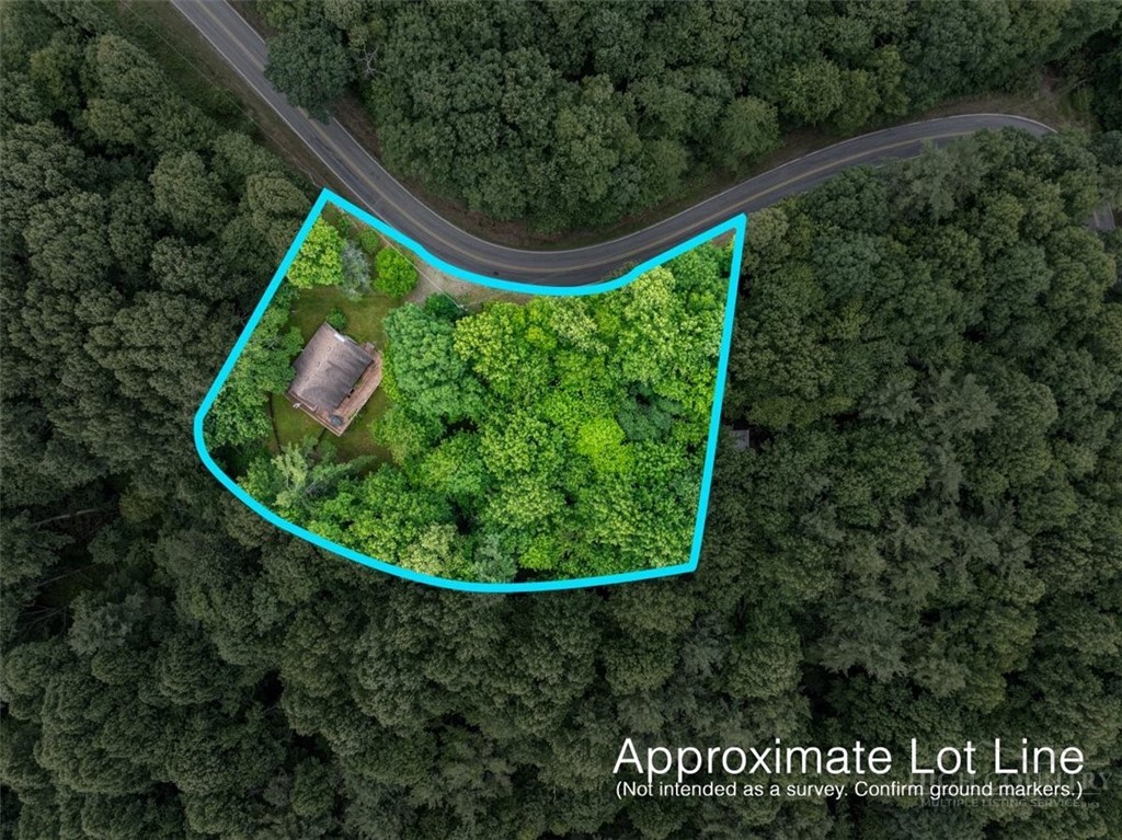 1218 Waterfall Road Sparta, NC 28675 - Photo 5 of 50
