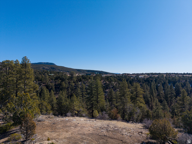 17 West Pine Street, Unit 17 Orderville, UT 84758 - Photo 7 of 15 View of mountain backdrop with a forest