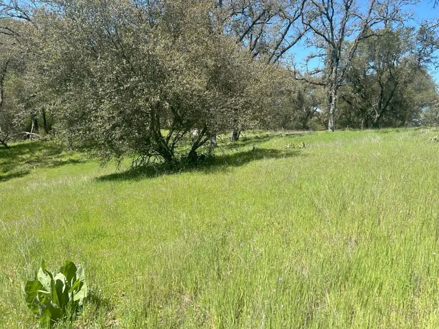 $449,000 | 4600 Summer Creek Road, Shingle Springs, CA 95682