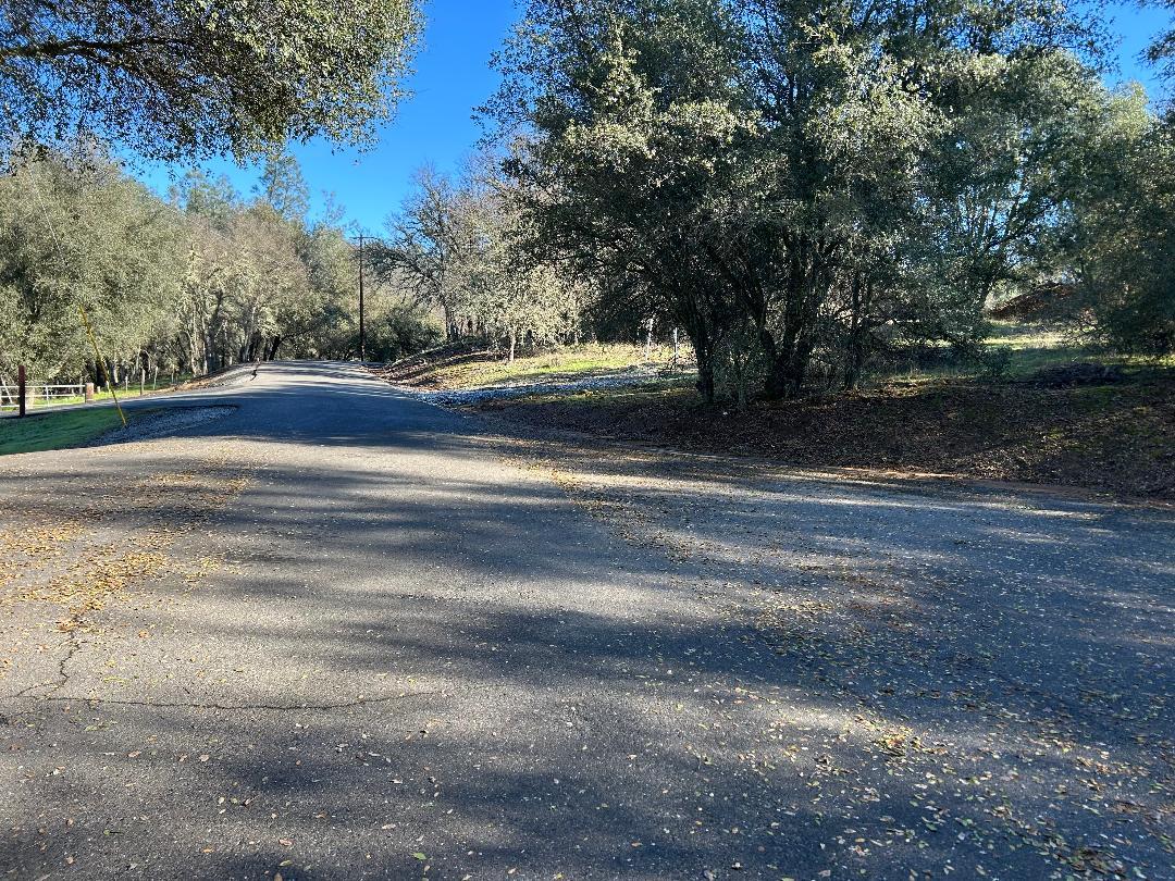 4600 Summer Creek Road Shingle Springs, CA 95682 - Photo 11 of 18 a view of a yard with large trees