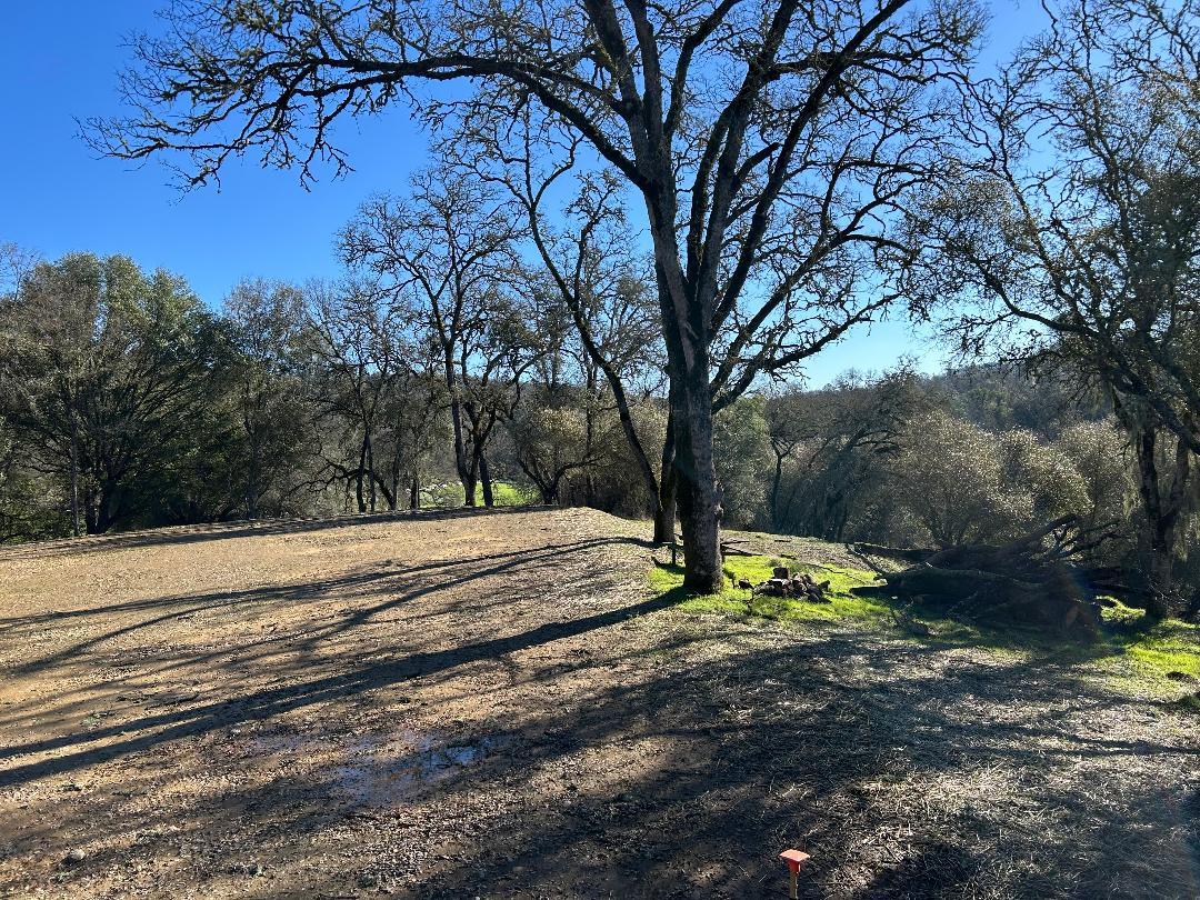 4600 Summer Creek Road Shingle Springs, CA 95682 - Photo 12 of 18 a view of a yard with trees