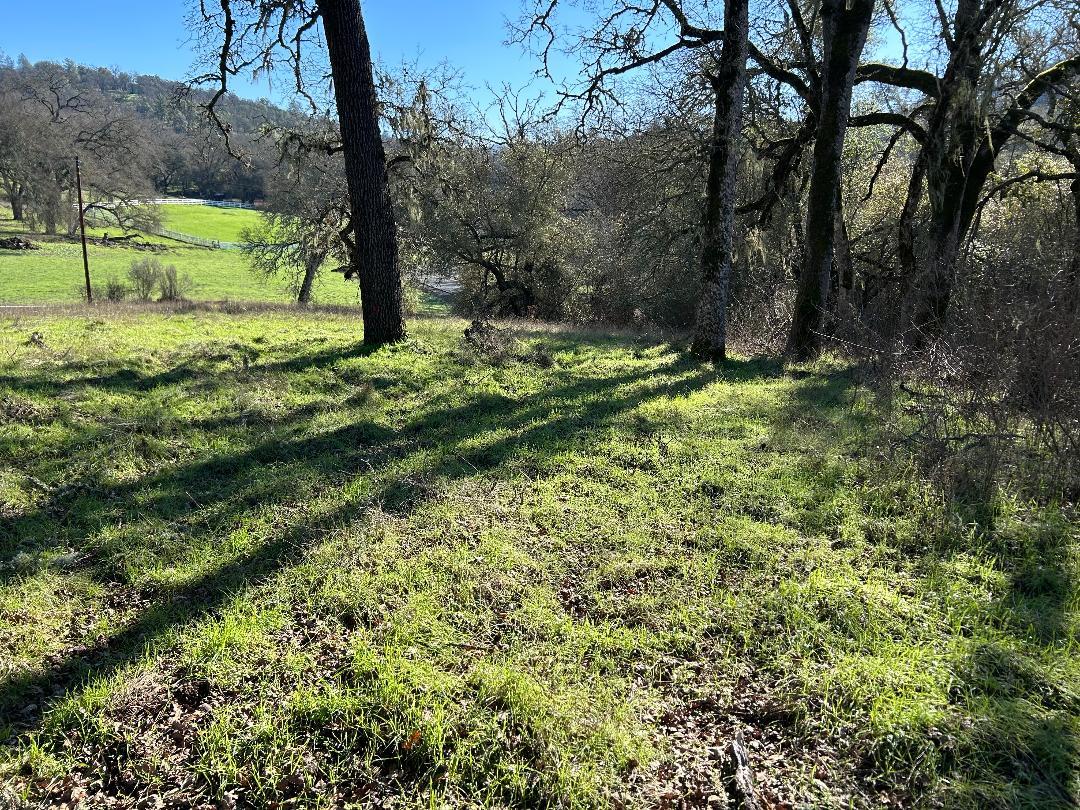 4600 Summer Creek Road Shingle Springs, CA 95682 - Photo 14 of 18 a view of a yard with a tree