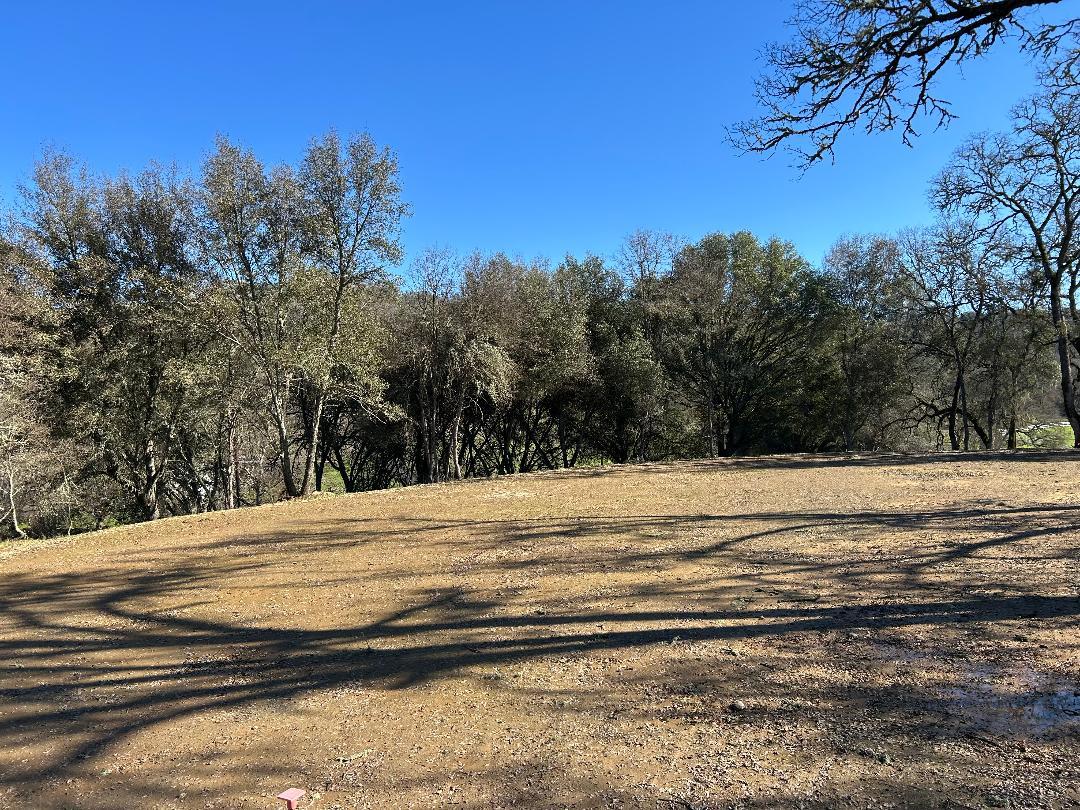 4600 Summer Creek Road Shingle Springs, CA 95682 - Photo 10 of 18 a view of ocean and trees