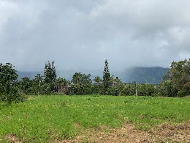 628 Puuopae Road Kapaa, HI 96746 - Photo 3 of 10 Gallery Image 3