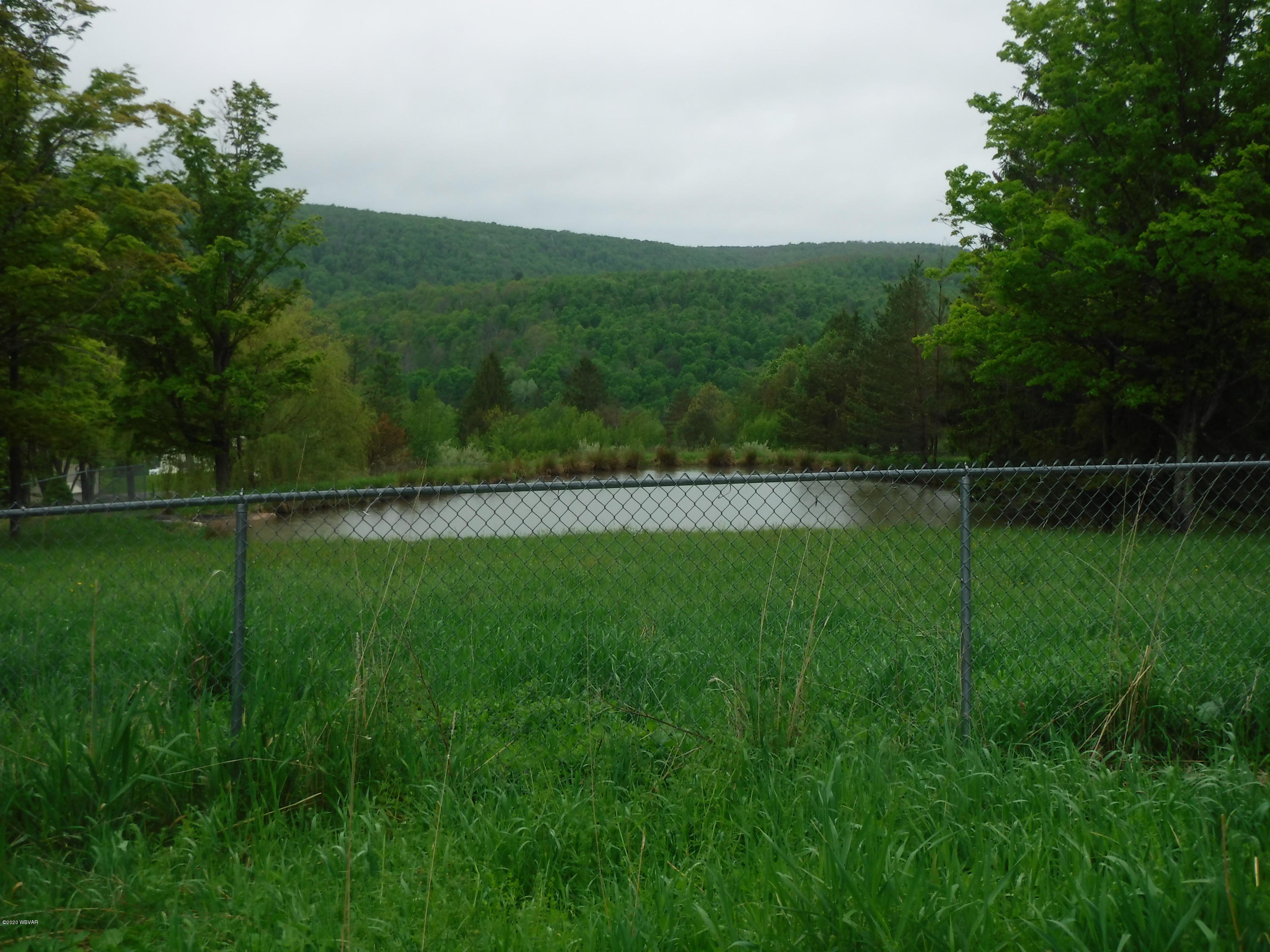 119 Holly Hill Road Dushore, PA 18614 - Photo 2 of 48 Gallery Image 2