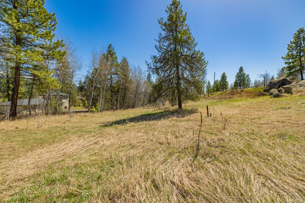 Tbd Morell Road McCall, ID 83638 - Photo 11 of 22