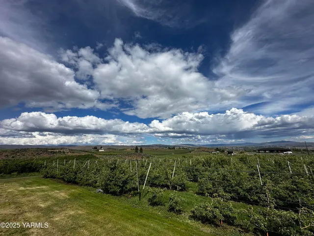 a view of a city with lush green forest