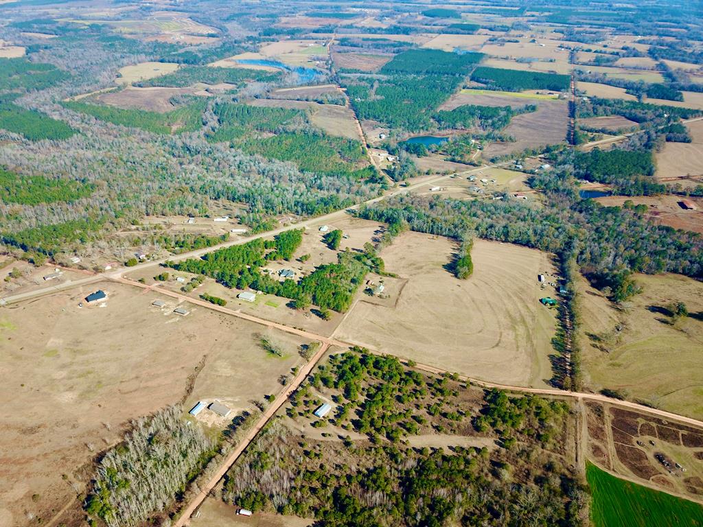 24.6-acres Grant Road Slocomb, AL 36375 - Photo 17 of 17