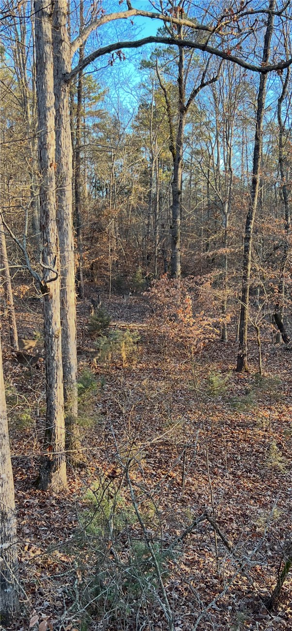 265 State Rd S-37-141 Westminster, SC 29693 - Photo 11 of 38