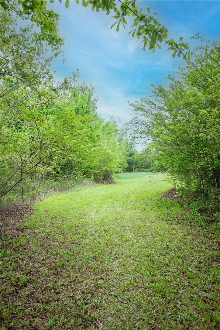 265 State Rd S-37-141 Westminster, SC 29693 - Photo 6 of 38