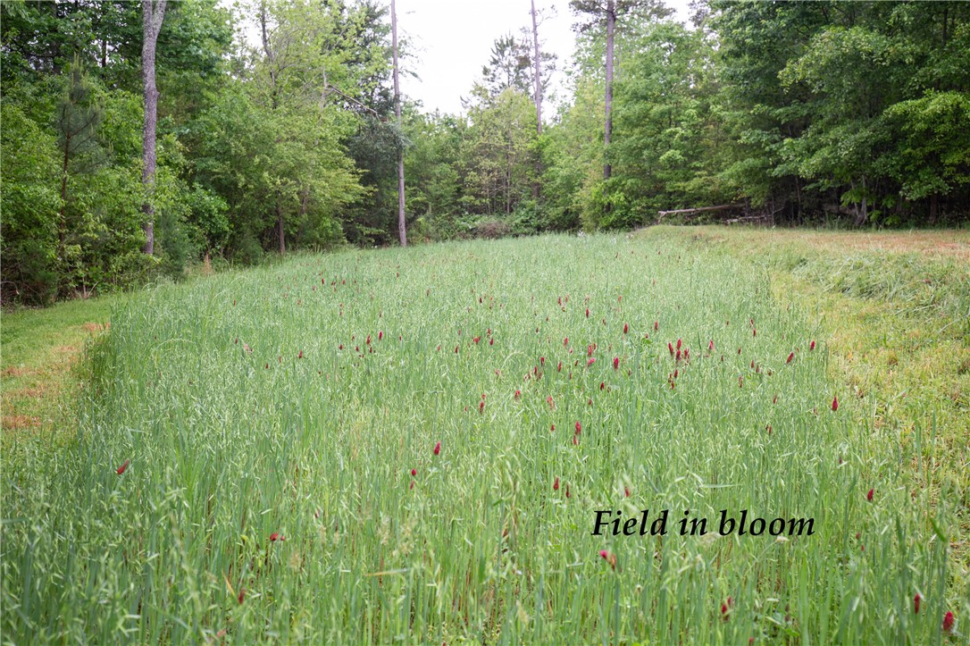 265 State Rd S-37-141 Westminster, SC 29693 - Photo 8 of 38