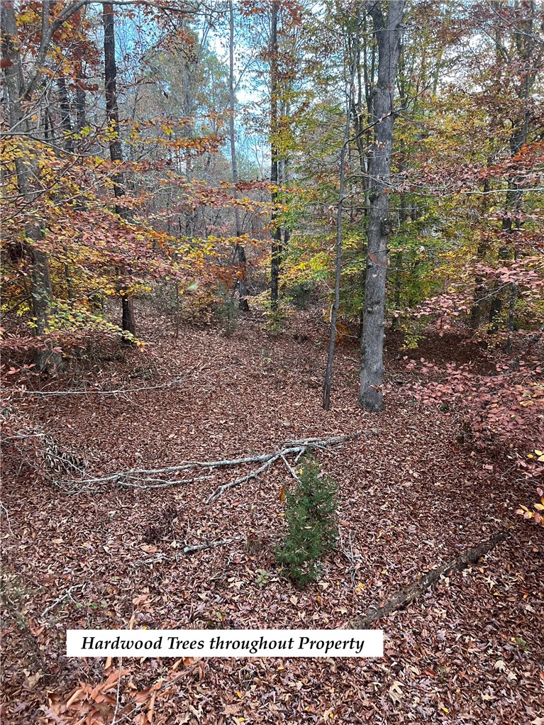 265 State Rd S-37-141 Westminster, SC 29693 - Photo 10 of 38