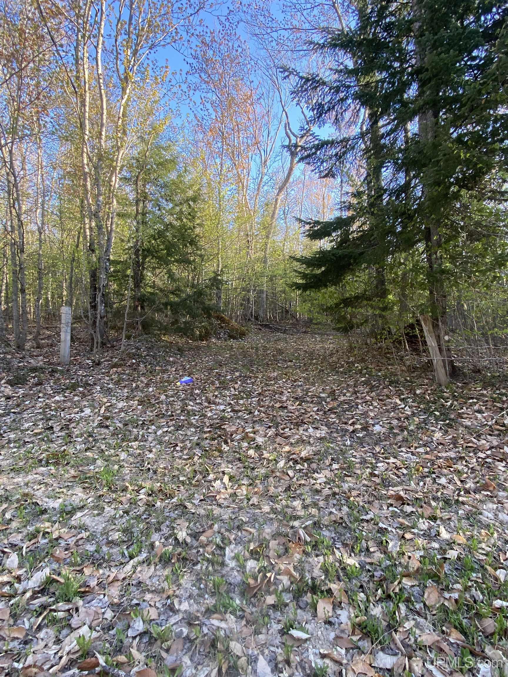 Tbd South Ross Lake Road Shingleton, MI 49884 - Photo 3 of 9