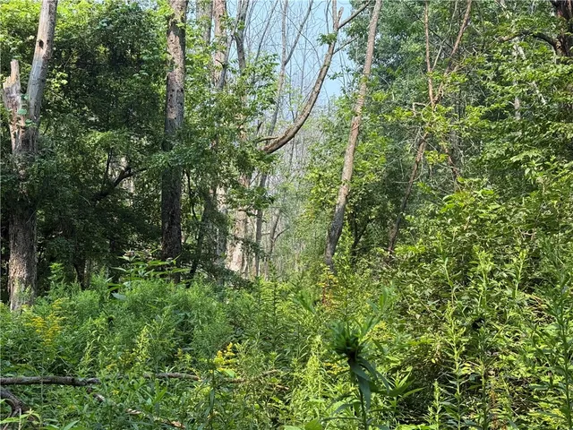 $34,900 | 19 Deer Pond, Varysburg, NY 14167