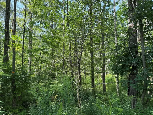 $34,900 | 19 Deer Pond, Varysburg, NY 14167