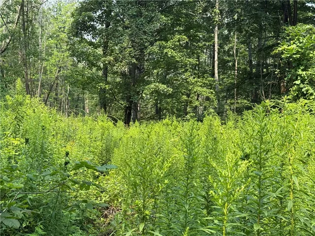 $34,900 | 19 Deer Pond, Varysburg, NY 14167