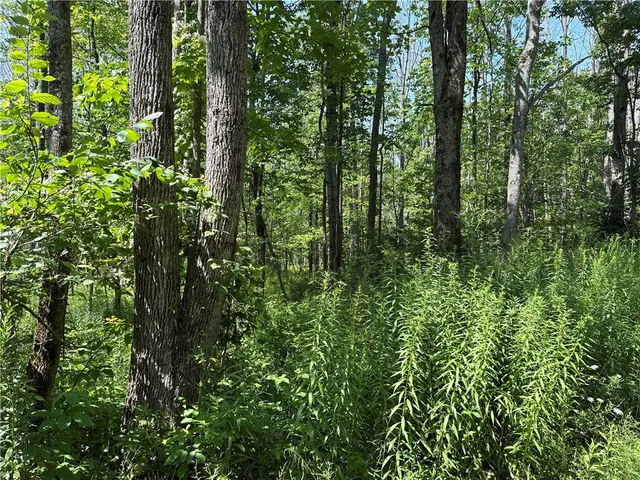 $34,900 | 19 Deer Pond, Varysburg, NY 14167