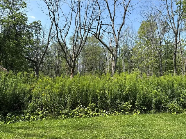 $34,900 | 19 Deer Pond, Varysburg, NY 14167